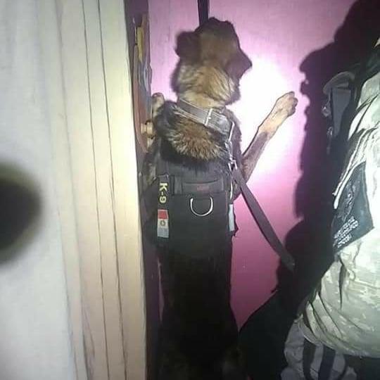 IMG_20210904_103734_024