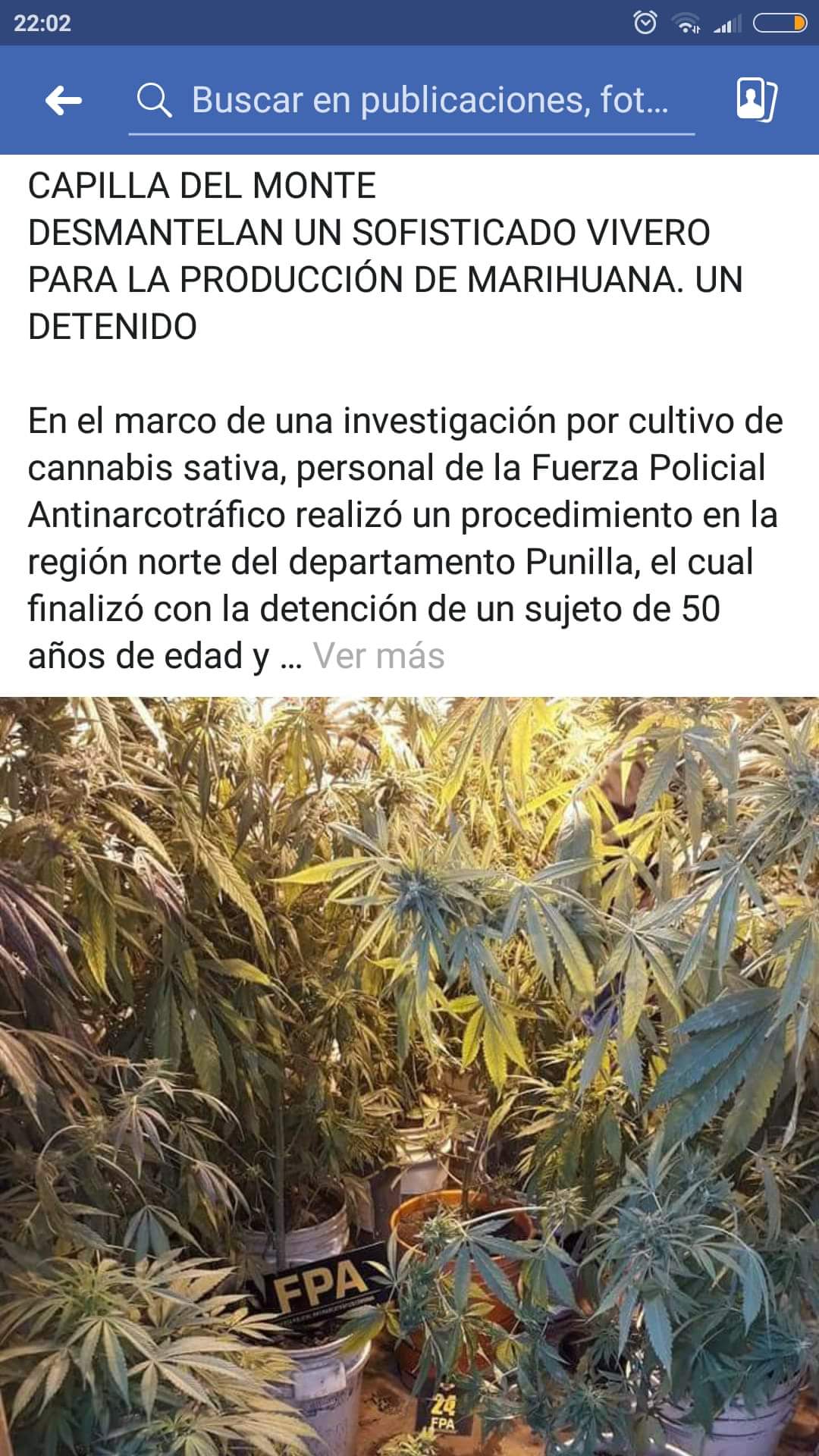 FB_IMG_1533087118772