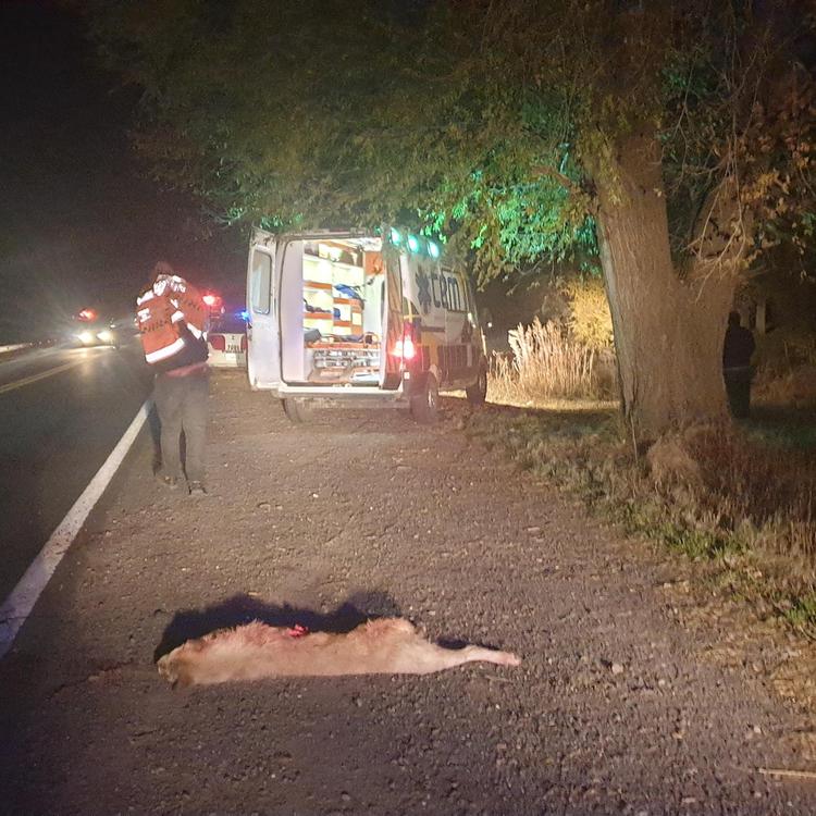 IMG_20210602_203406_036