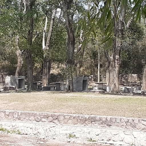 IMG_20211029_103653_397