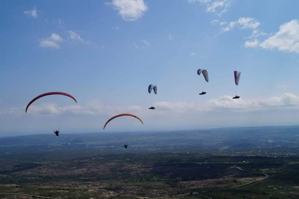 FB_IMG_1646016587775