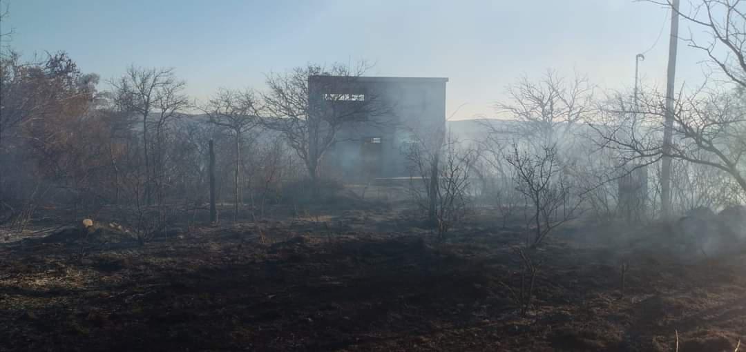 FB_IMG_1629333176927