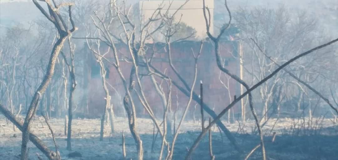 FB_IMG_1629333180037