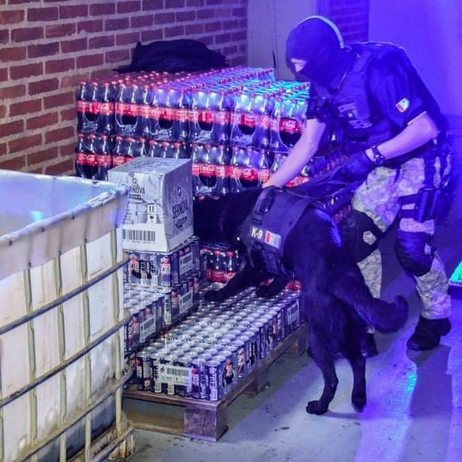 IMG_20211102_101923_886