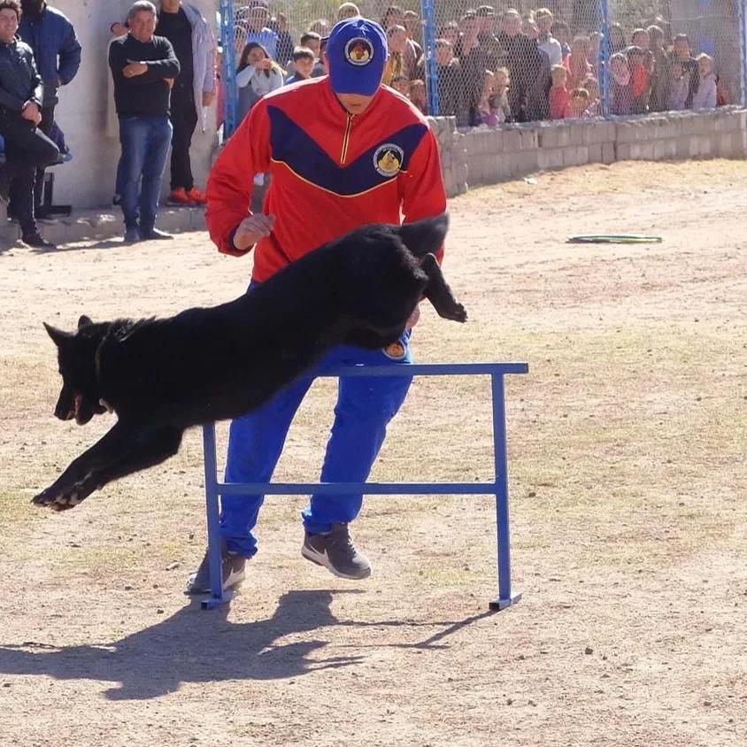 IMG_20220815_205850_549