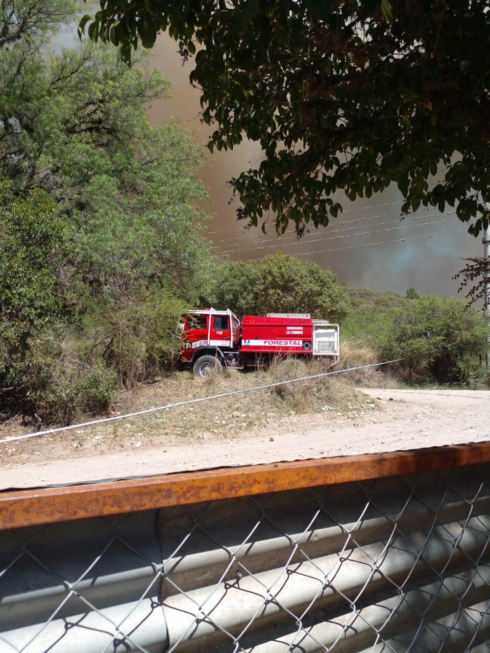 IMG-20221117-WA0065