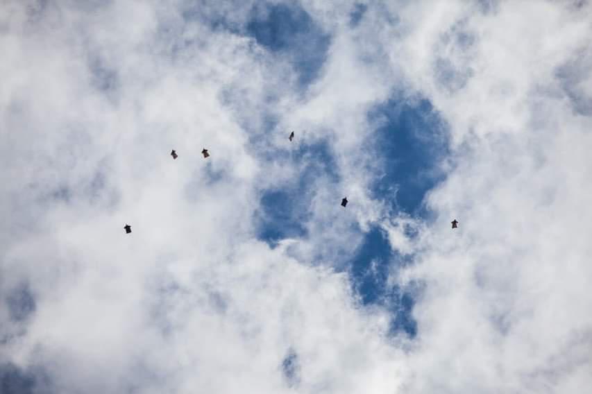 FB_IMG_1644076670531