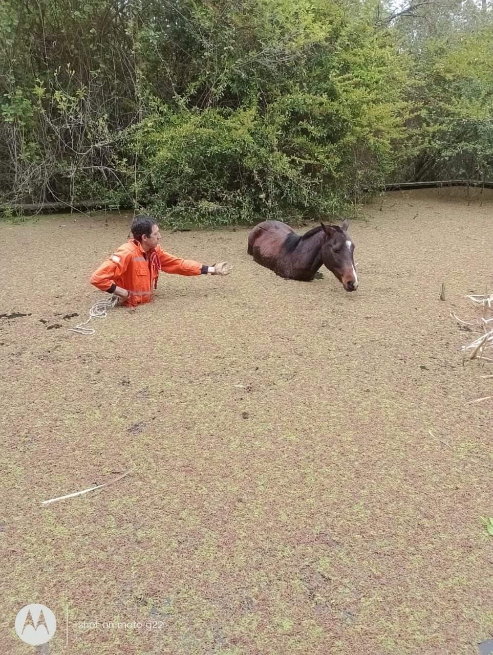 FB_IMG_1665766045112