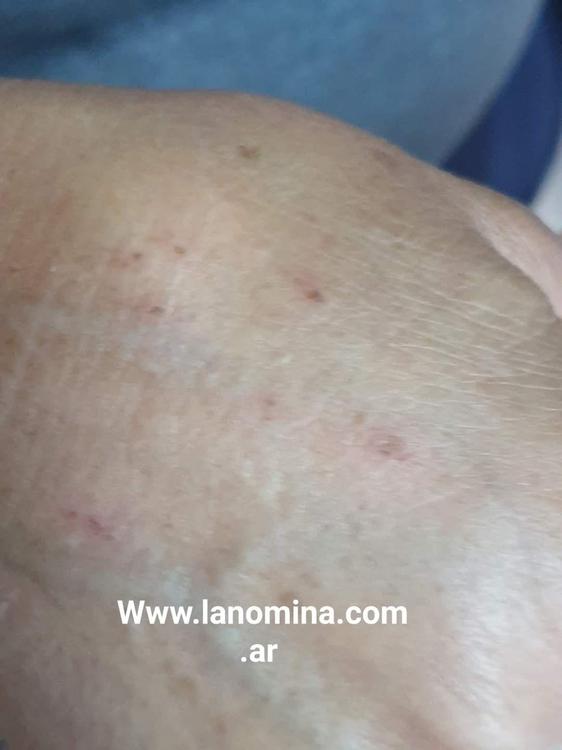 FB_IMG_1647349651471