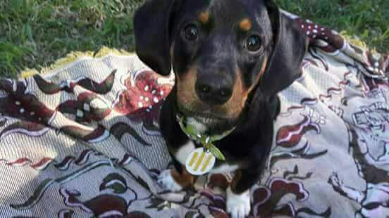 WhatsApp Image 2017-12-06 at 17.18.49