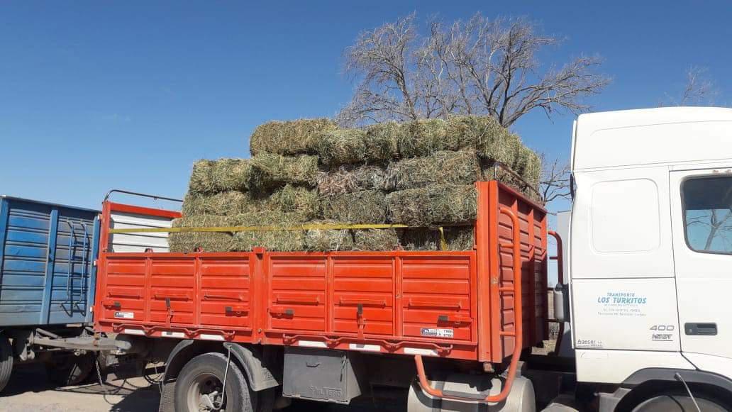 FB_IMG_1598622361000