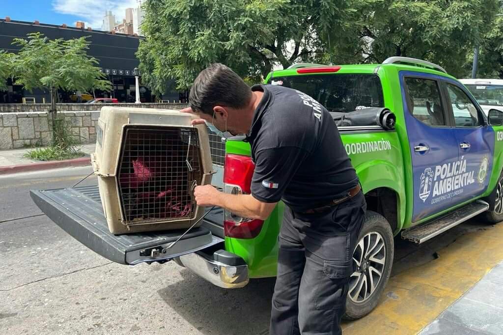 FB_IMG_1648669341824