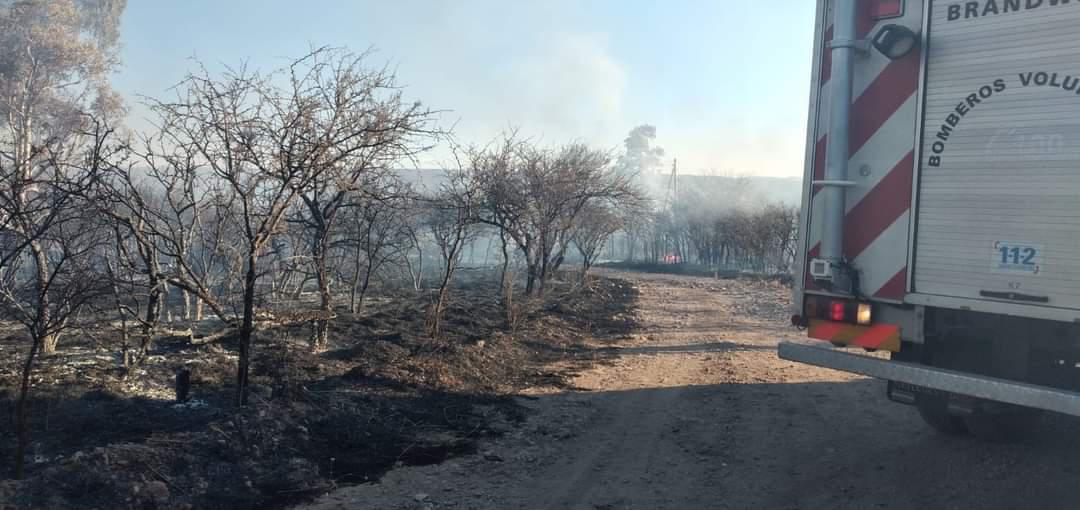 FB_IMG_1629333182677