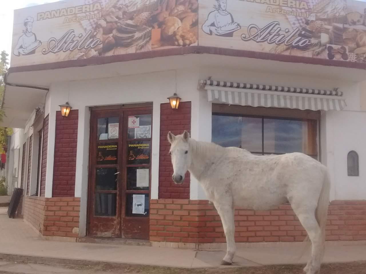 FB_IMG_1527078515720