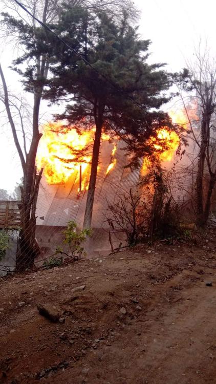 FB_IMG_1689185000642