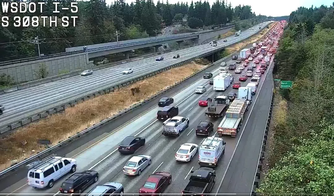 FB_IMG_1728058749815