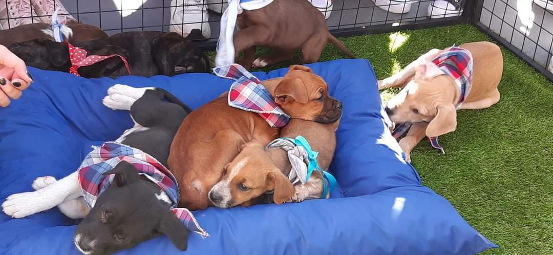 FB_IMG_1632754133822