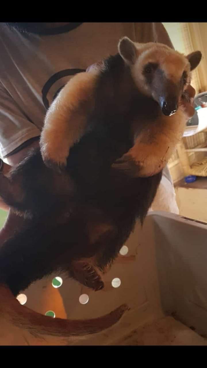 FB_IMG_1591660250042